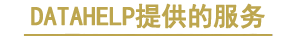 數據恢復服務